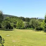 Zammernig