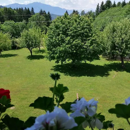 Apartman Zammernig Ferndorf